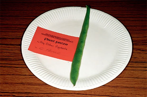 Aranthell's tweet image. Le goût des couleurs.

[Martin Parr]
#photo