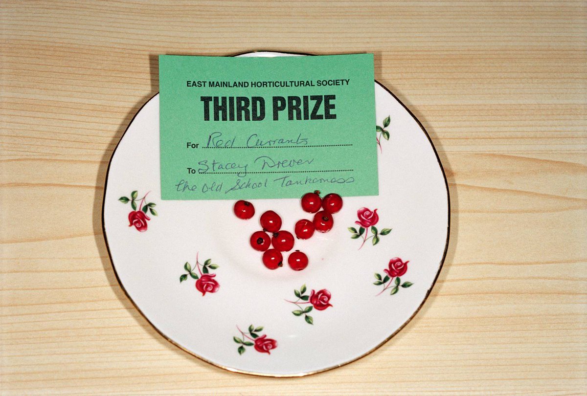 Aranthell's tweet image. Le goût des couleurs.

[Martin Parr]
#photo