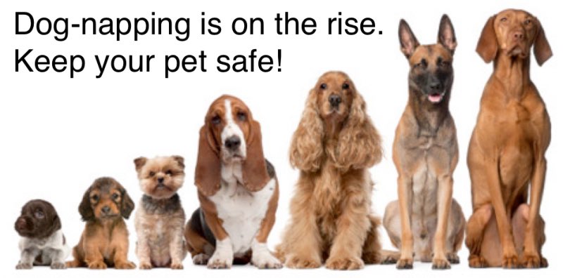 Chris Mann tweet media