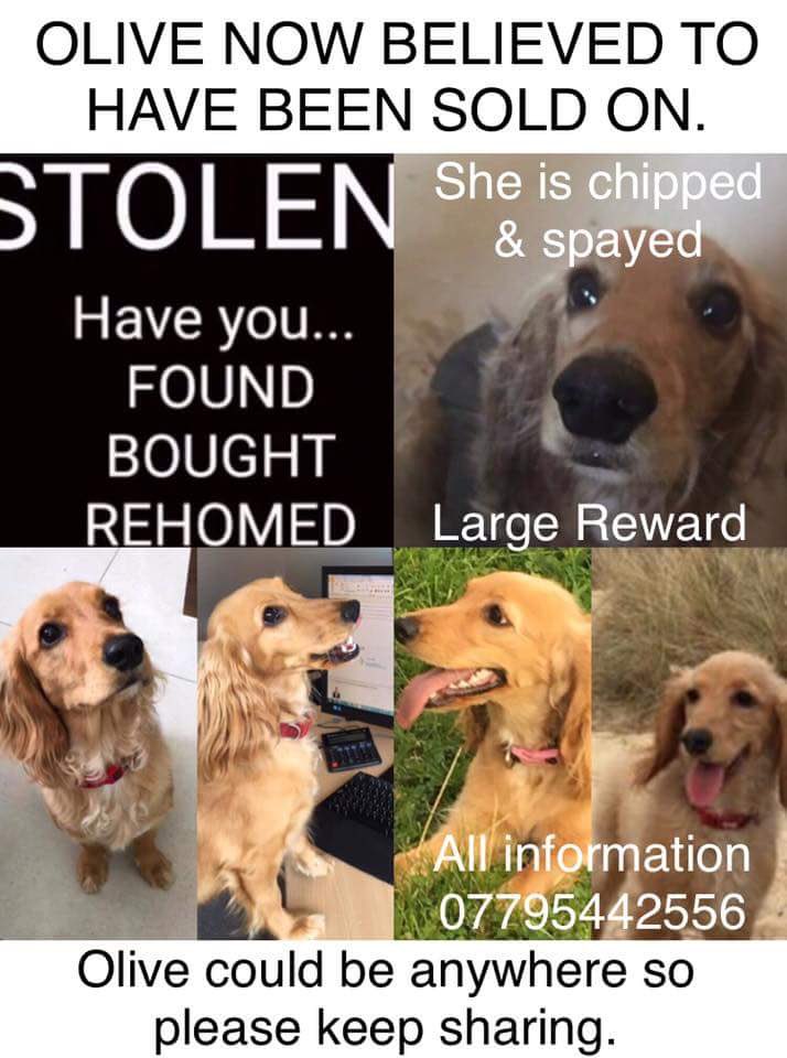 Chris Mann tweet media