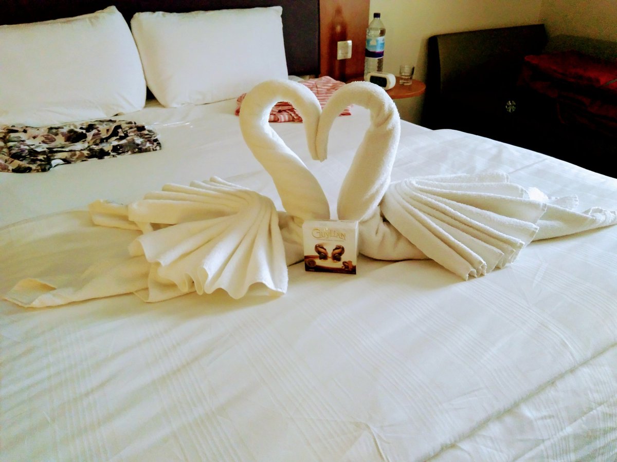 Roxana Anton tweet media