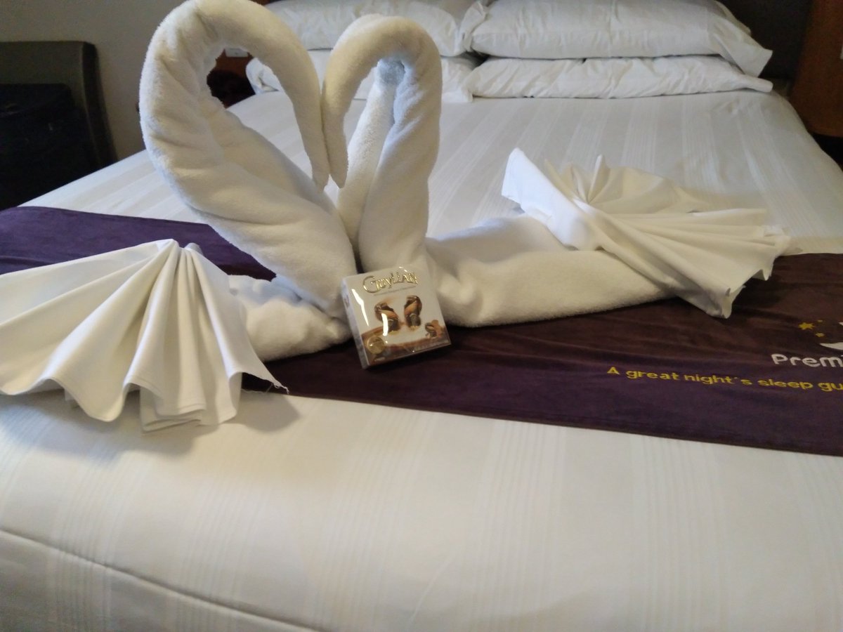 Roxana Anton tweet media