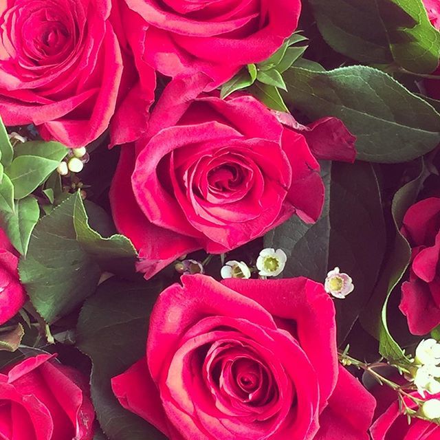 Three Trees tweet media