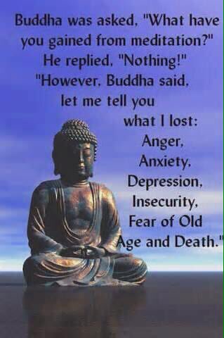The Dhammapada tweet media