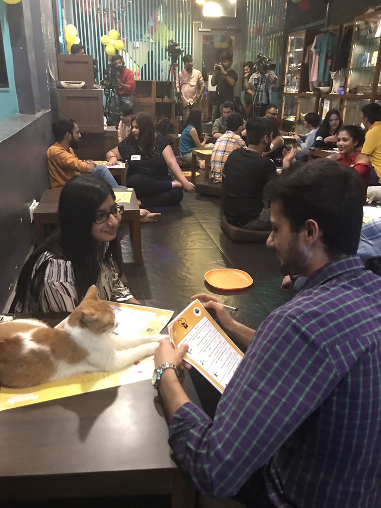 RomedyNow's tweet photo. A furry affair here at the @CatCafeStudio! #FurrentinesDate https://t.co/eTvPsVio1X