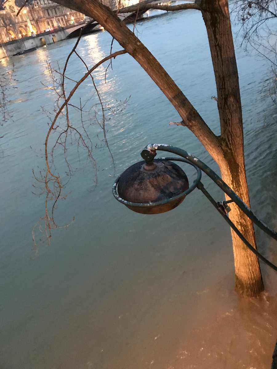 HazizaEmma's tweet photo. #Seine #decrue « Le Chêne un jour dit au roseau : Vous avez bien sujet d'accuser la Nature(...), Le moindre vent qui d'aventure, Fait rider la face de l'eau, Vous oblige à baisser la tête (...)Les vents me sont moins qu'à vous redoutables...» #jeandelafontaine #lecheneetleroseau https://t.co/qwNYWwWj0t