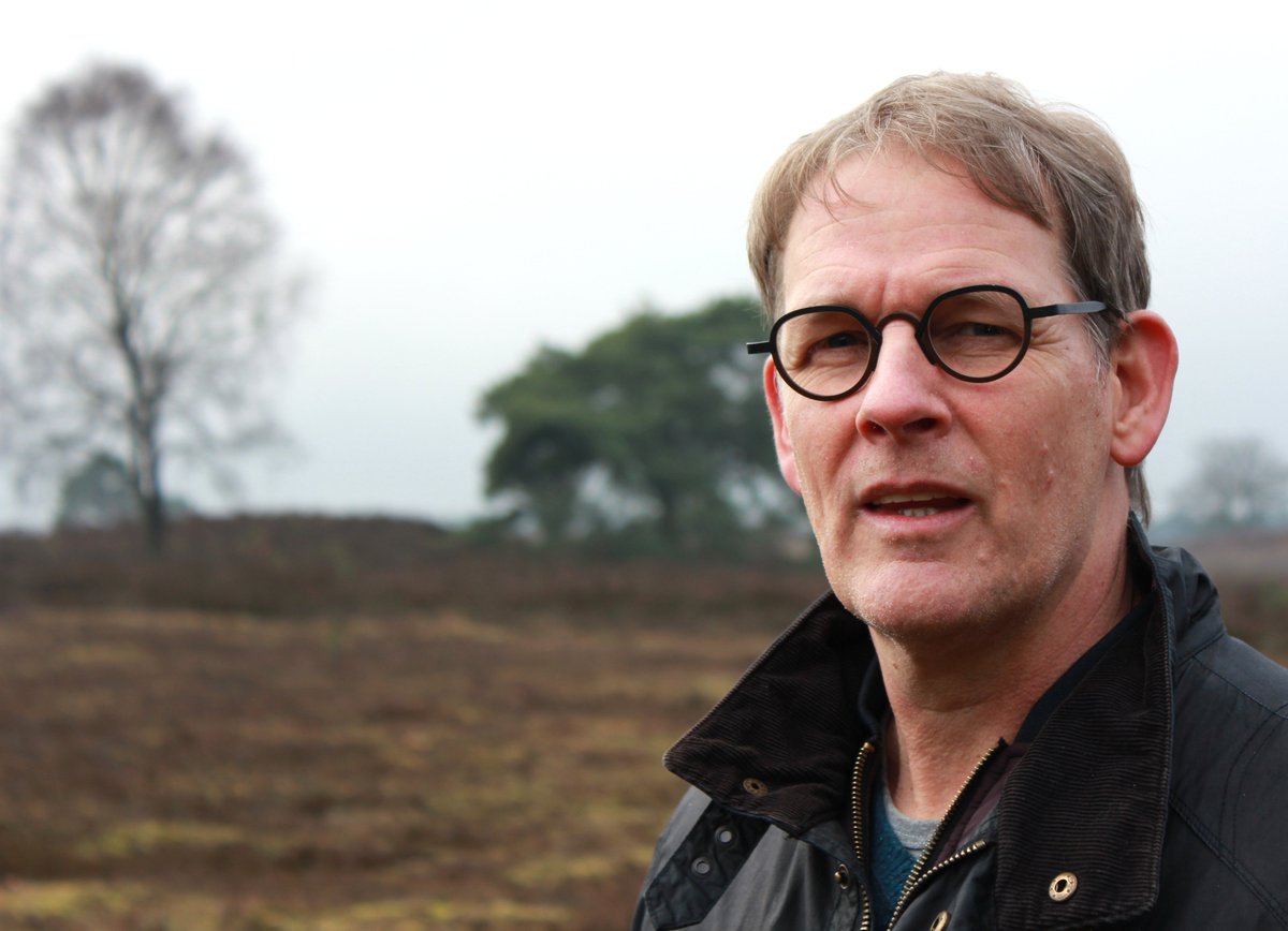 Wil je de paarse #heide terug? Dan is het nu de tijd voor een #schaapskudde in #Vierhouten: tinyurl.com/y8hadnmq.