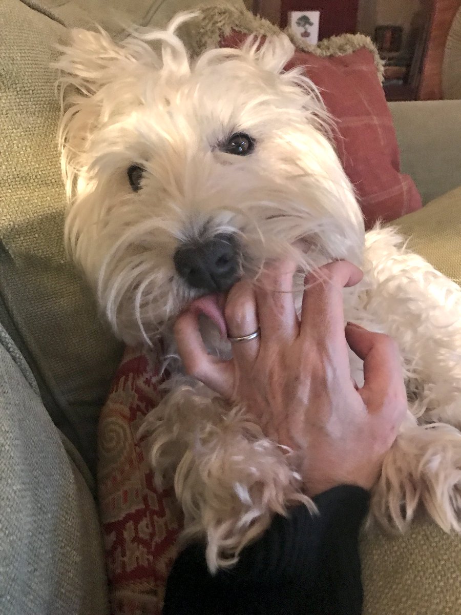 J.K. Rowling tweet media