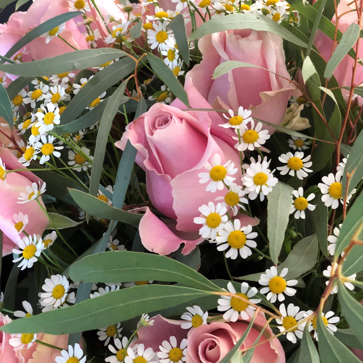 RouteXLnl's tweet photo. Maak deze #Valentijnsdag je bezorgroute nog efficiënter met onze multi stop routeplanner 💐🌷🌸🌼🌺 https://t.co/fOCBVGNhbP #bloemist #bloemenwinkel #bloemen #ondernemer #winkelen #bezorgen #thuisbezorgd #bestelwagen #transport #logistiek #ritplanning https://t.co/lUrNdQyiFR