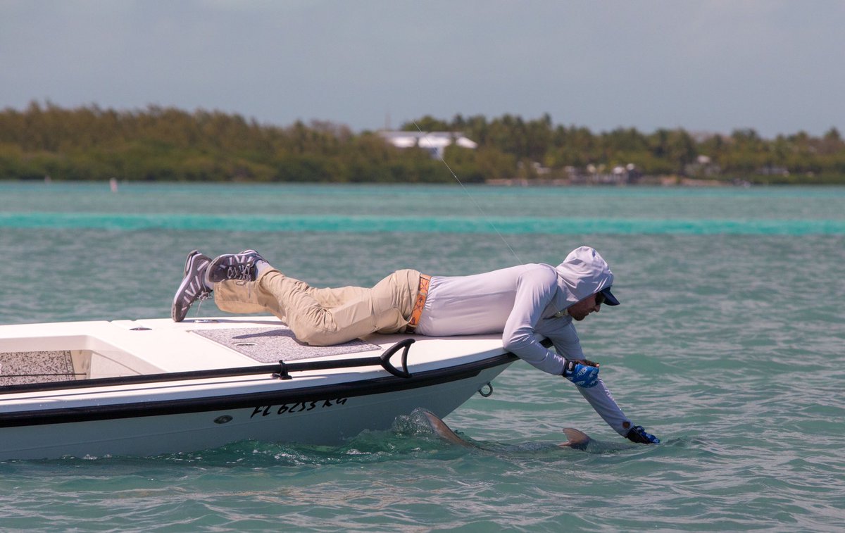 silverkingstv's tweet photo. Capt Bou Bosso about to bring the king to hand. 
#silverkings
#tarpononfly
#maverickboats
#seadek https://t.co/LR3HwfaD5z