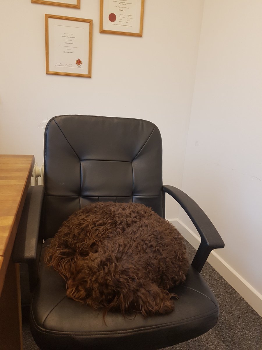 nuplansurveys's tweet image. Wet and windy in Kernow so an "office day" with my "faithful friend." #NoSeaview #Nuplan #Survey #AutoCAD #Cornwall #Editing #OfficeMutt