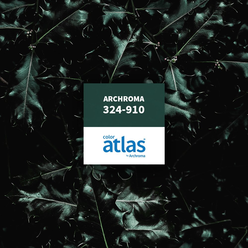 Archroma Color Mgt tweet media