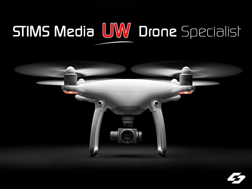 STIMS Media tweet media