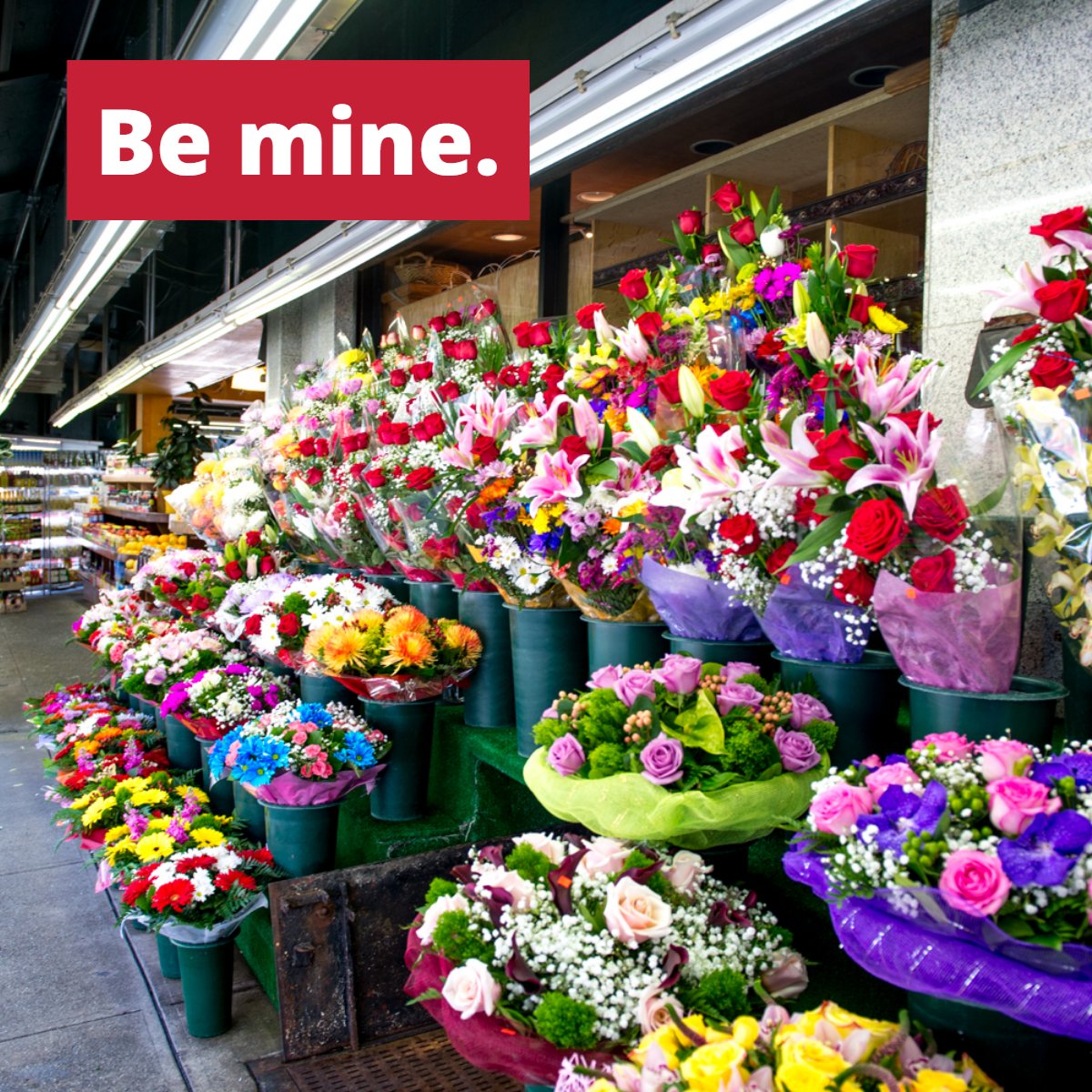 Cherry Hill Market (CherryHilMarket) Twitter