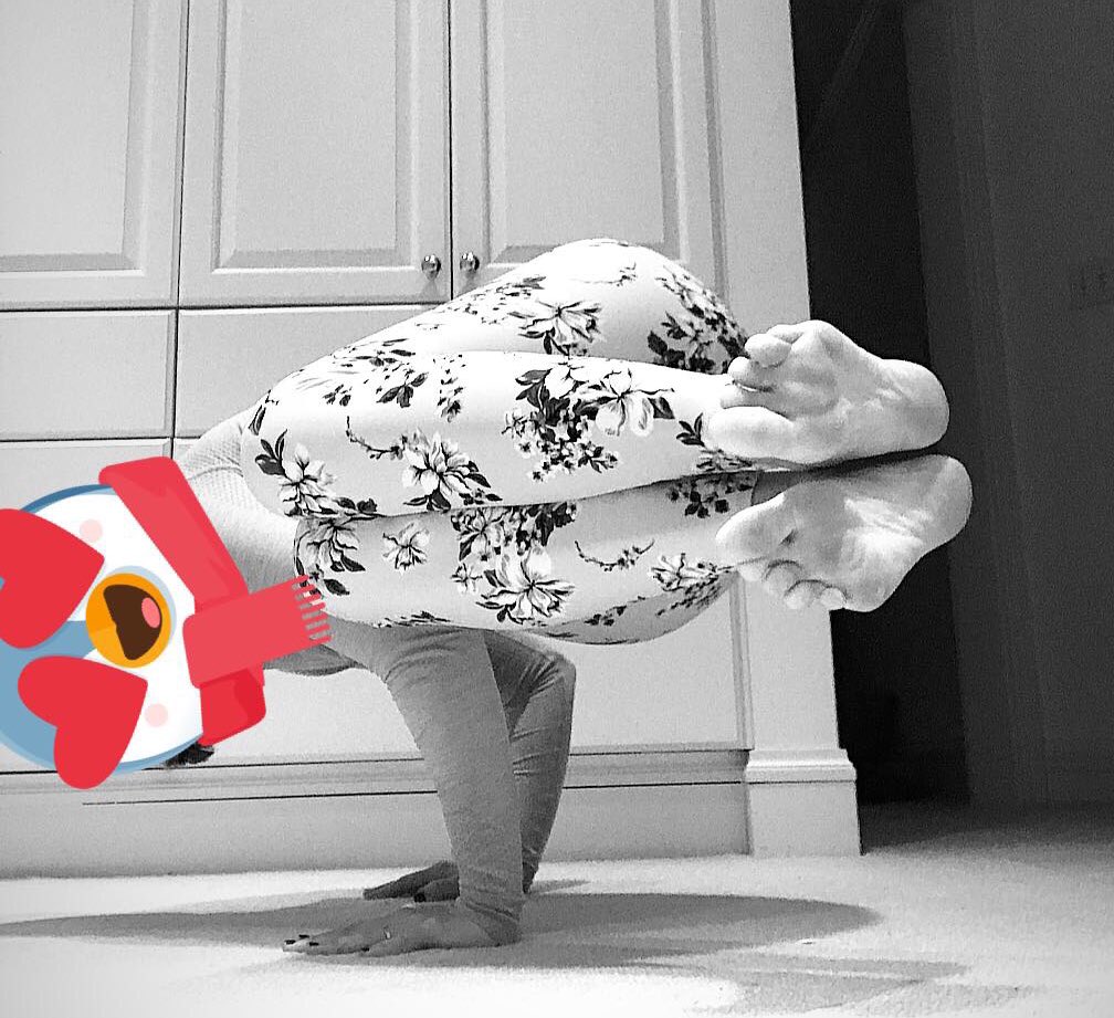 KellyQAnderson's tweet image. Happy ❤️ Day 🙏☮️🧘🏻‍♀️
#sidecrow #yogaeverydamnday