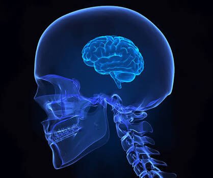 iAmaranth22's tweet image. A person’s neuro image after reading #ModiComics.