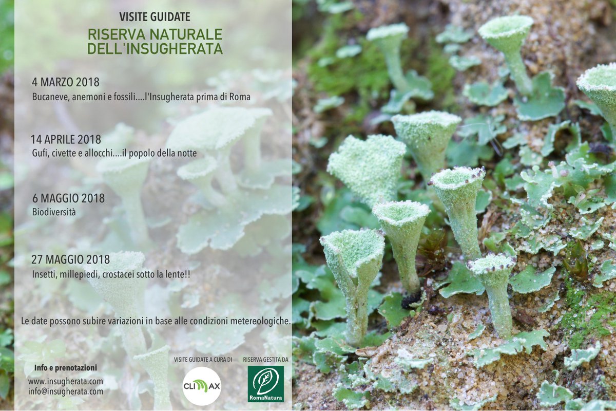 Siamo pronti per le prossime escursioni presso la Riserva Naturale dell'#Insugherata

#escursioni <a href="/EnteRomaNatura/">Ente RomaNatura</a>  #riservanaturale #zoologia #botanica #biodiversità #ecologia #coopclimax #fossili #geologia