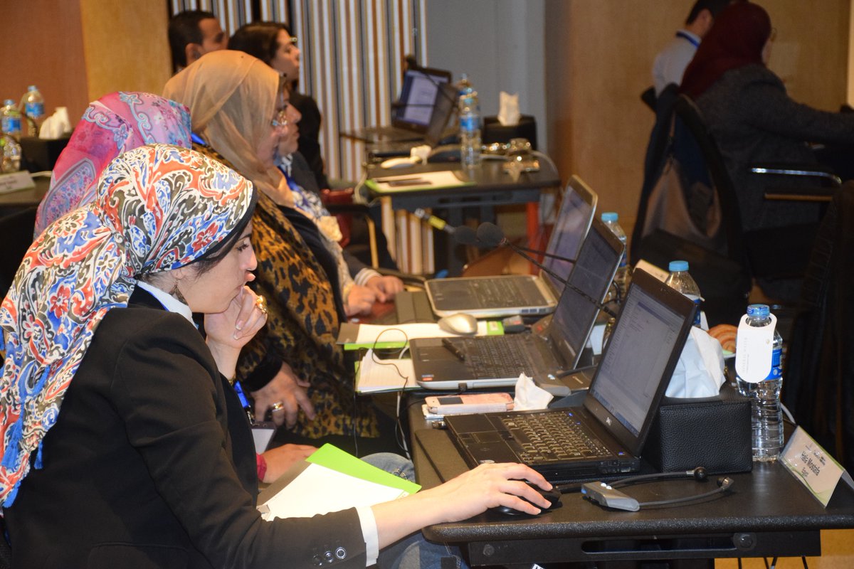 WATERSUMproject's tweet image. Training on MIKE HYDRO BASIN software-Integrated Water Resource Modelling. Day1 in #Cairo, #Egypt. Participants learn the Software basics &amp;amp; carry out Water use, Reservoirs &amp;amp; Hydropower exercises in groups.
 #MENA @WATERSUMproject @RECstream