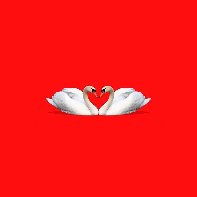 jennygreen1104's tweet image. Love birds.

#creativecollection #love #birds #valentines  #design #creative #shrovetuesday #peoplescreative #whp #instagood #ambilifeiscolourful #creativitykillsoldness #ballpitmag #thedesigntip #thednalife #picame #calledtobecreative #36minus #meetkvell ift.tt/2EsYpvL