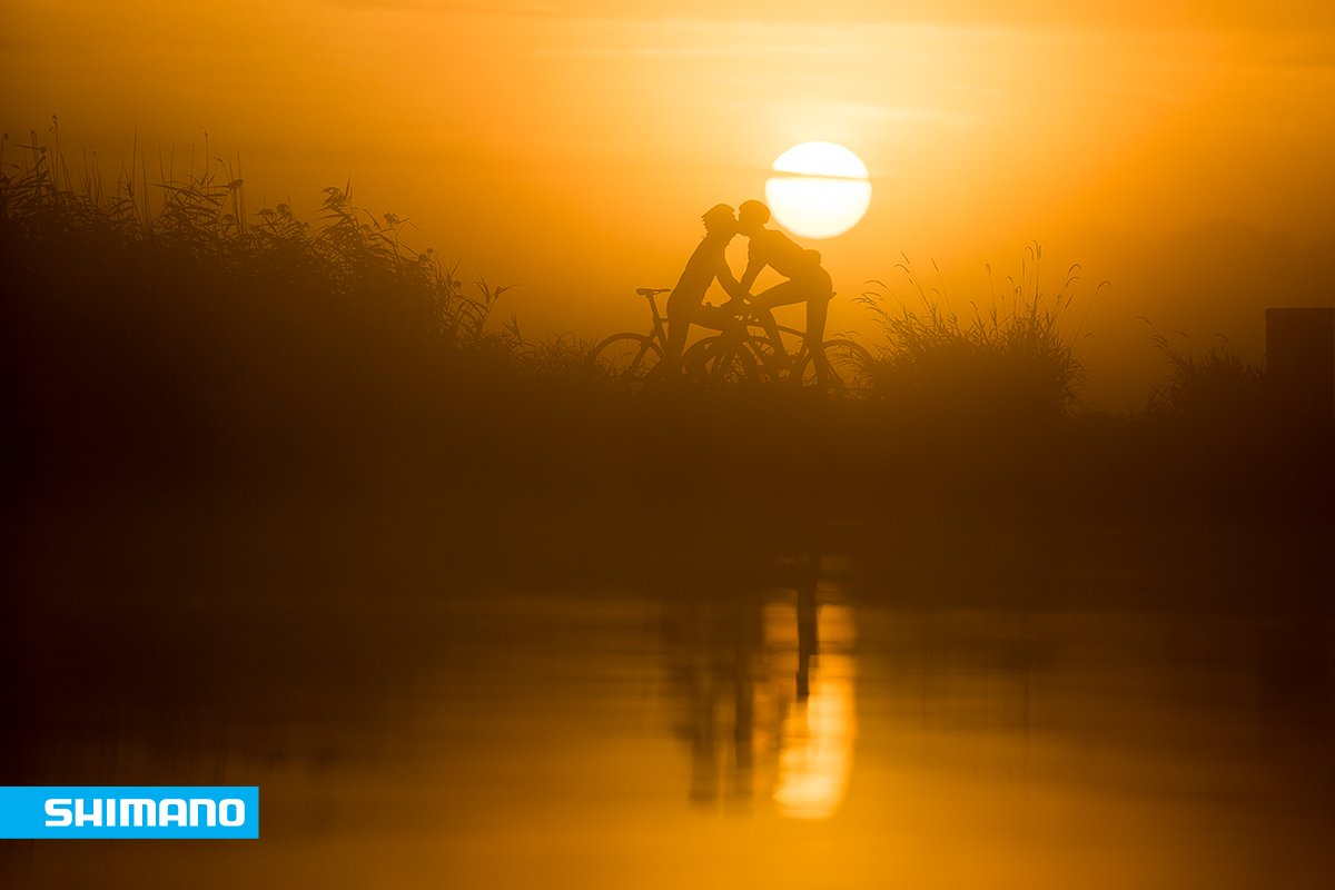 RideShimano tweet media