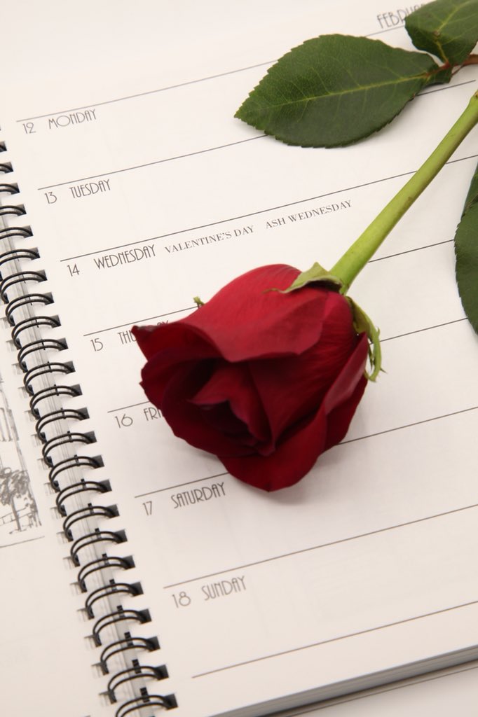 TofDCalendar's tweet photo. Happy Valentines Day! ��️
Enjoy this extra special day of love and treat yourself, because YOU deserve it! 
Last chance for our 2018 Time Of Day Calendars! 50% off! Use code VALENTINE at checkout
#february #valentinesday #love #flowers #rose #calendar #planner #loveyourtimeofday https://t.co/f8F3oERpfF