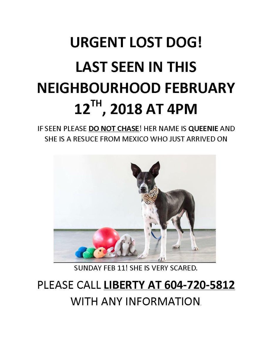 lost dog north vancouver
