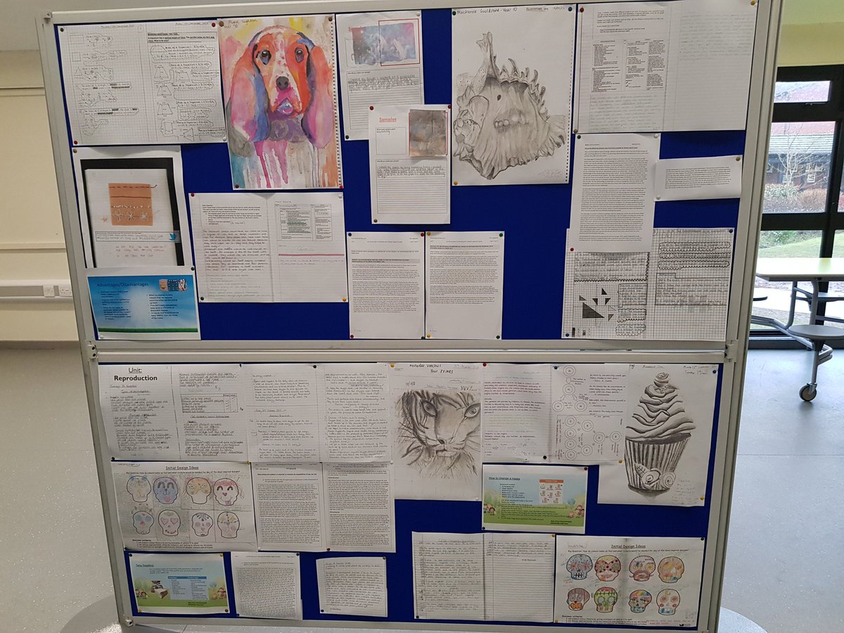 MissAbroad's tweet photo. Moreton School's First ever Excellence Exhibition. A showcase of our outstanding students and their fabulous achievements!  @MoretonSchool https://t.co/4Vu7NAb1E5