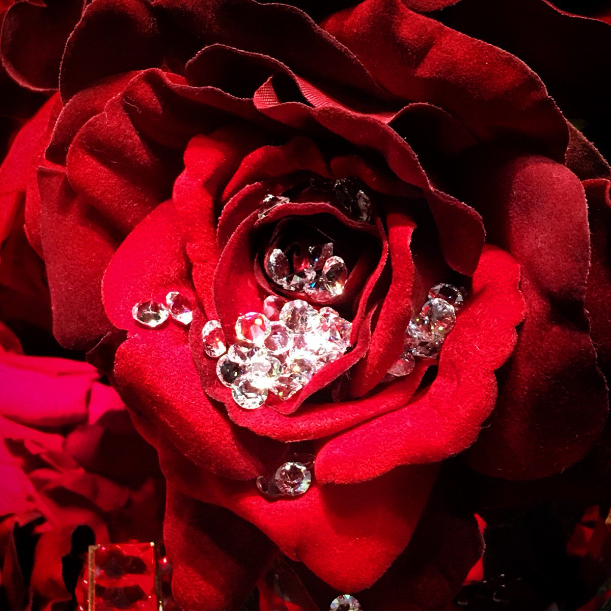 Happy Valentine’s Day! ❤️
We adore the window display by our friends at <a href="/rojaparfums/">ROJA PARFUMS</a> 😍
Sending all our love from Richard Ogden💎🌹💎