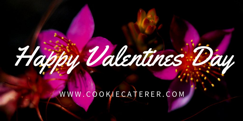CookieCaterer's tweet photo. We’re on deliveries and giving out smiles; sharing in this time of love and happiness with the recipients of our Valentine’s Day bakes! #cookiecaterer #cookies #valentinesday #smiles #love #happiness https://t.co/eXznjwemal