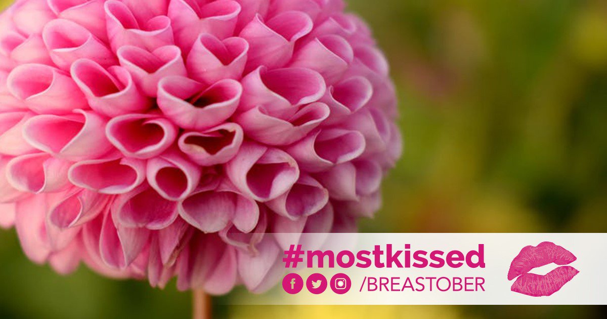 Breastober's tweet photo. Happy Valentine’s Day!!

 Share the love and help conquer cancer!!
Send A Kiss To Conquer cancer and spread awareness for Breast Cancer.

All proceeds will benefit Breast Cancer Programs at the The Princess Margaret Cancer Centre #breastcancerawareness #mostkissed #SendAKiss2CC https://t.co/R0myLFV23b
