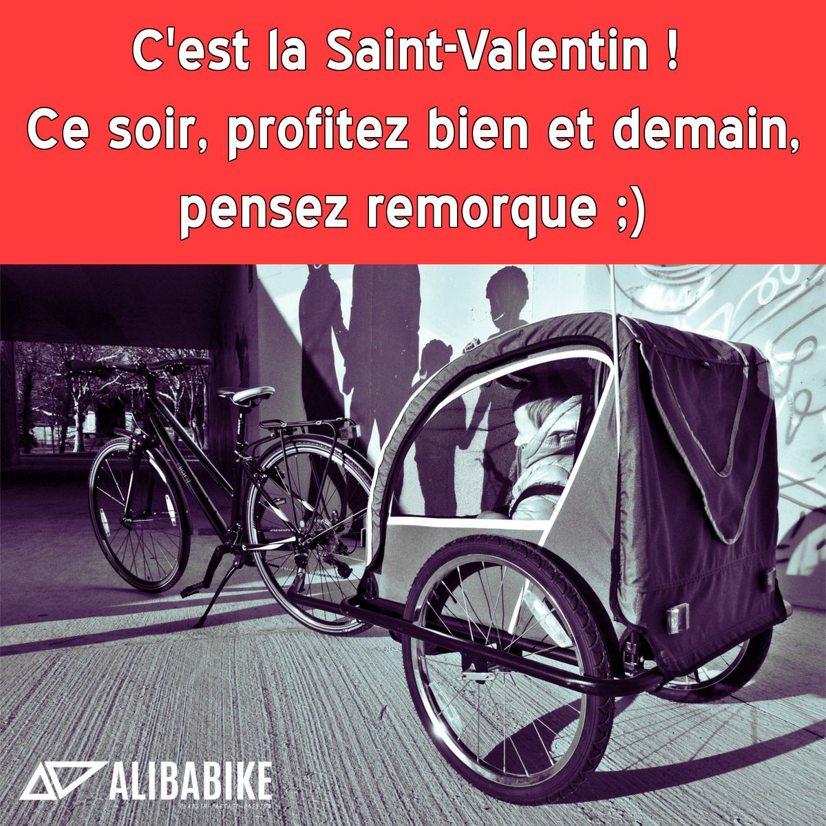 Alibabike.com tweet media