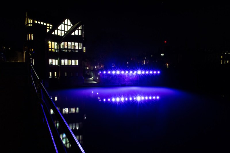 e-Luminate Cambridge tweet media