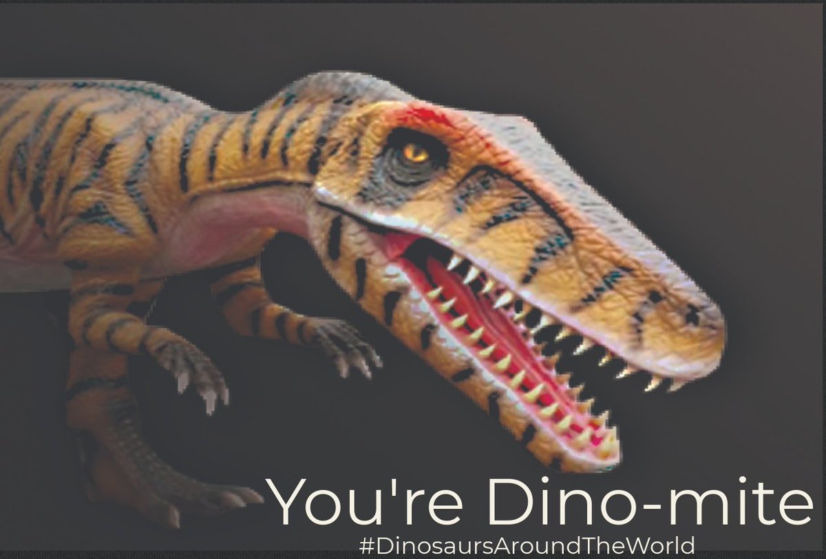 Dinosaurs Around The World tweet media