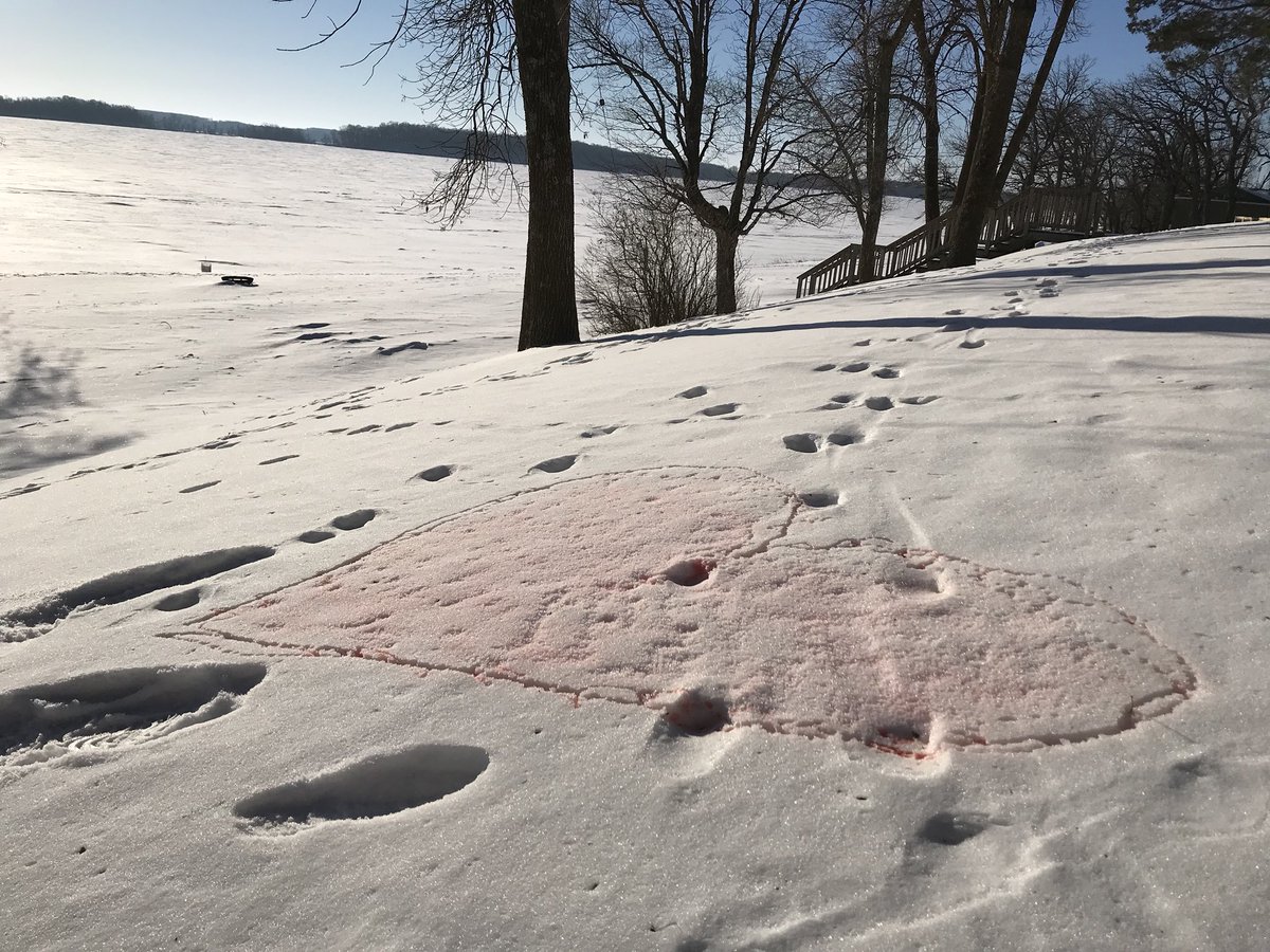 BonnieBeachMN's tweet photo. Sunshine and Love https://t.co/2K8RoVspXy