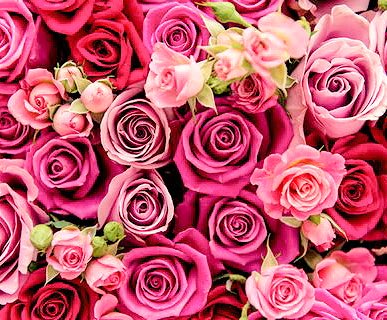 EmbeeReception's tweet photo. Happy Valentines ❤️ #valentines #love #happy #diamonds #champagne #ido x https://t.co/W85EuzoCJC