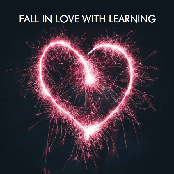 WorkingVoices's tweet photo. Fall in love with learning again! Our eLearning bundles allow for more targeted learning than ever before. Choose from our 8 core learning themes to focus on a specific set of communication skills that are relevant to your business and your employees > https://t.co/gYJ6AU4AAe https://t.co/e6TkmANr9d