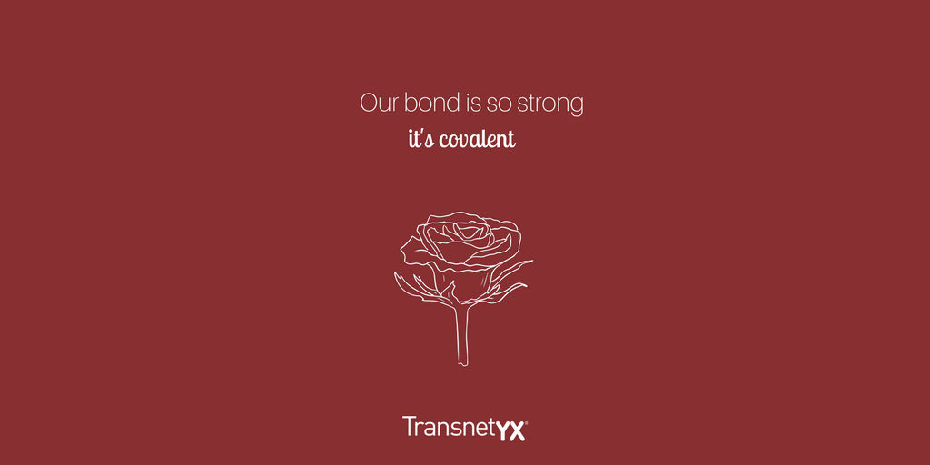 Transnetyx's tweet photo. Happy Valentine's Day from Transnetyx! 💗 To celebrate, enjoy these free valentine's themed wallpapers for your phone! If you would like to download, follow this link: https://t.co/cTmIjXHwCY https://t.co/tDBSEWBlXE