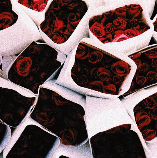 affectioncalder's tweet image. Happy Valentine’s Day 🥀♥️