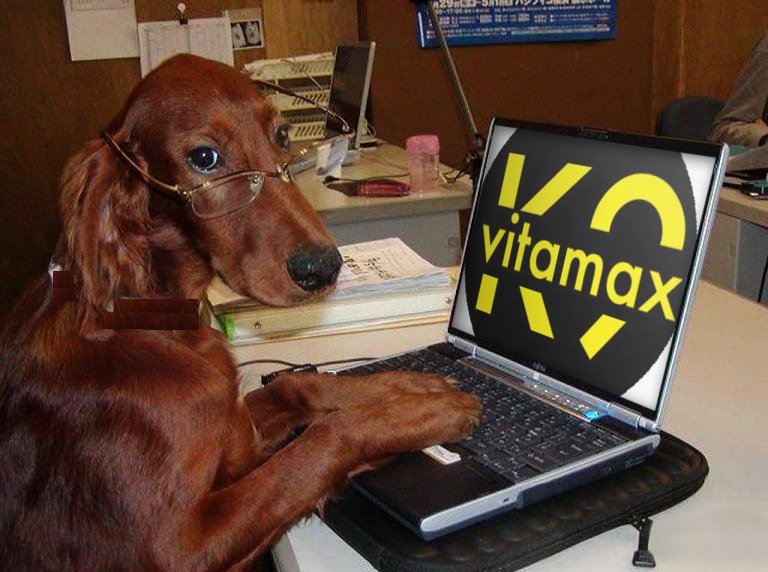 charlieroger20's tweet photo. Why K9Vitamax Is Better Than All Other Supplements?

● Includes micro-nutrients for optimum health
● Includes essential minerals
● Human grade quality
● Contains 24 ingredients for an optimal diet
● Contains antioxidants vitamins A and E
  https://t.co/sddbjmkdB5 https://t.co/xIpShJvKdp