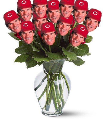 KCSPORTS's tweet photo. A dozen Rose's for Valentines Day! #playusssa #usssabaseball https://t.co/U2wHltKSBl