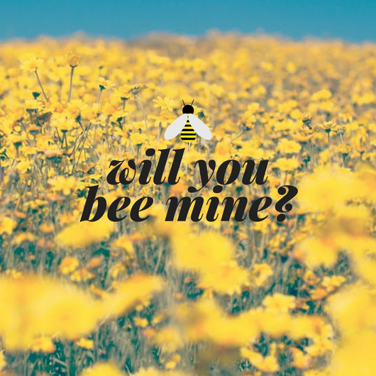 Steelman & Co. LLC (steelman_coLLC) Twitter