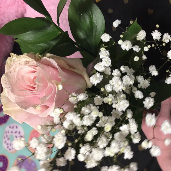 One beautiful sparkly pink rose and baby&rsquo;s breath.  Just like me and my son. 💖 #ValentinesDay2018 #selflove<a href="/tag/selflove"class="tags"><span>#selflove</span></a><a href="/tag/valentinesday2018"class="tags"><span>#valentinesday2018</span></a>