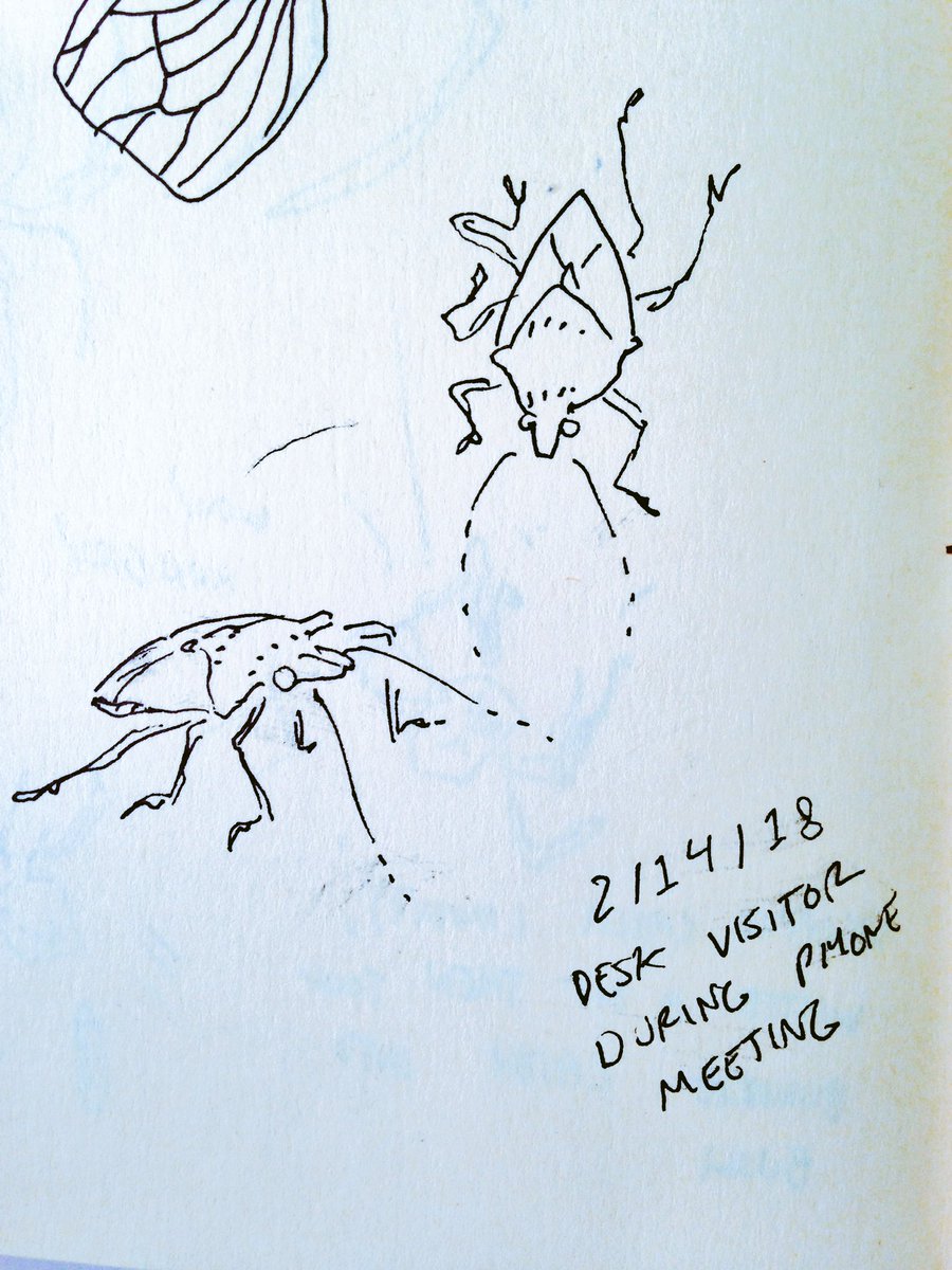 a bug came and crawled around on my desk while I was taking meeting notes...I escorted them out afterward, hope they don't leak the project being discussed ??