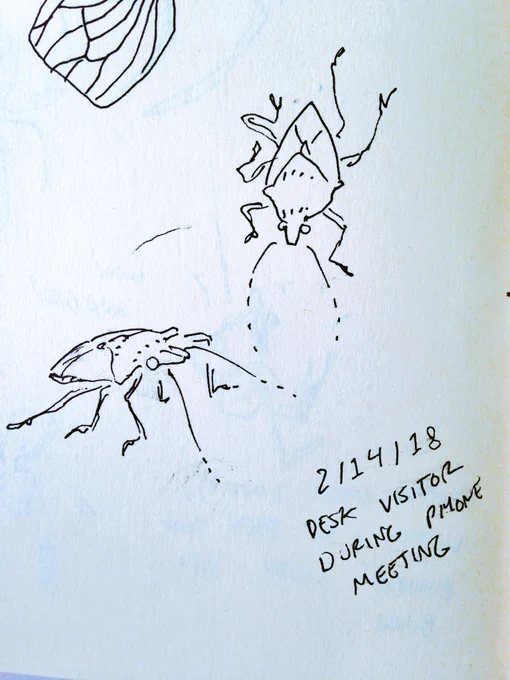 a bug came and crawled around on my desk while I was taking meeting notes...I escorted them out afterward, hope they don't leak the project being discussed ?? 