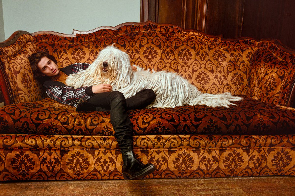 .<a href="/CMBYNFilm/">Call Me By Your Name</a>'s Timothée Chalamet is our March cover star, with photographs by Ryan McGinley gq.mn/VstuNZE