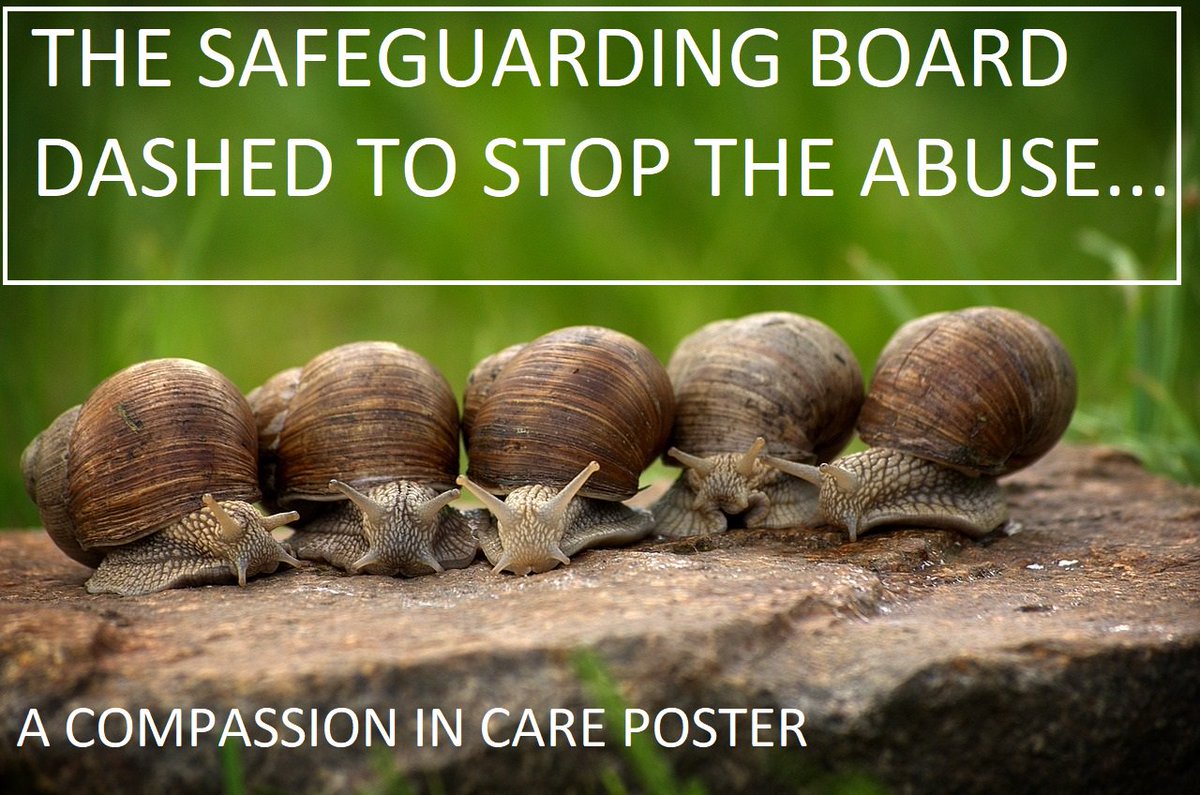 CompassnInCare's tweet photo. #WednesdayWisdom  Support Ednas Law to stop the abuse, because you can not rely on what is currently in place. https://t.co/BICDdVhswy