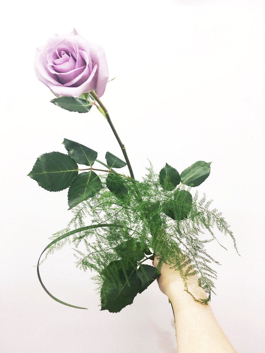 keep it simple • ready to go [$12]
#florist #ottawa #ottawaflorist #valentinesday #love #blumenstudio w
