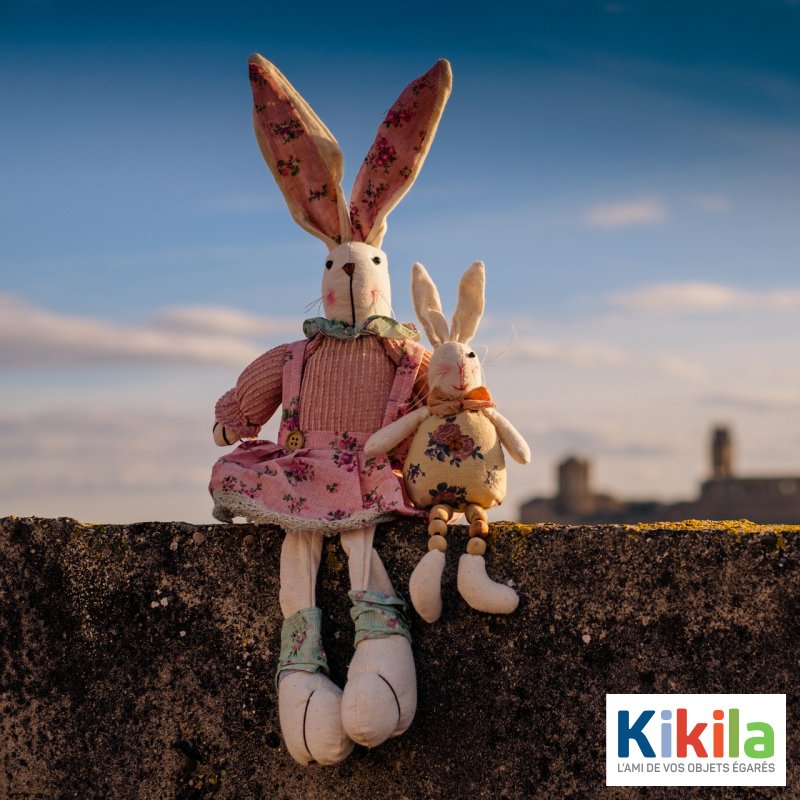 Kikila_FR's tweet photo. Il y a des doudous voyageurs et d'autres qui aimeraient bien rentrer chez eux. Pas facile quand on est un petit lapin et que l'on ne connaît pas son adresse. Aidez les à retrouver le chemin de la maison en leur collant une étiquette Kikila https://t.co/owkz2ckKYK #swag #dope #bae https://t.co/MBnciQVfU3