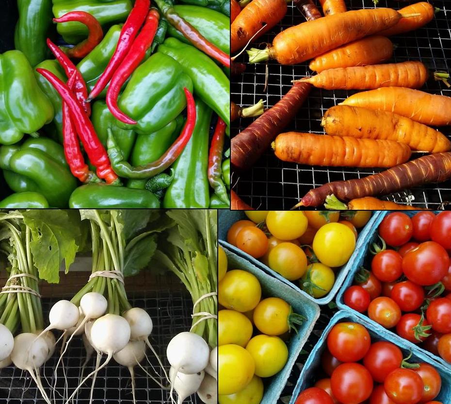 NeedhamFarm's tweet image. Check out the latest Needham Community Farm newsletter:
campaign.r20.constantcontact.com/render?m=11101…