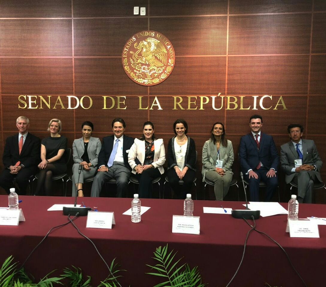IGOSZika's tweet photo. @LeonhardSonja was excited to present the @IGOSZika project in Mexico City for the conference: '1er Simposio de Síndrome de Guillain Barré y otras Enfermedades Neurológicas' and looks forward to meeting with the team in Brazil this week! https://t.co/uLXzYA3l8F